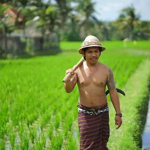 Hotel Mandi & Ubud (Bali)